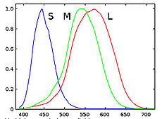 Normalisovannie spektri tshustvitelnosti kolbohek S,L,M.jpg